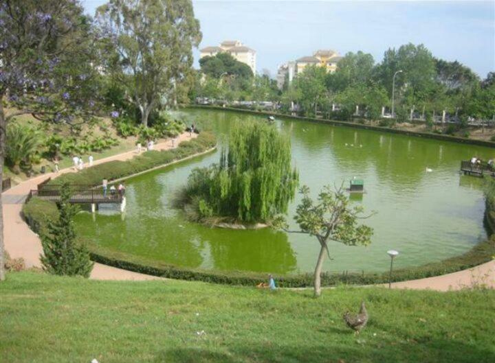 Estudio Sagitario Benalmadena Ngoại thất bức ảnh